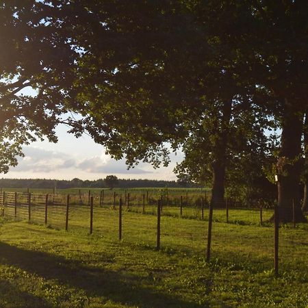 Ferienhaus Grafenland Dersum Buitenkant foto